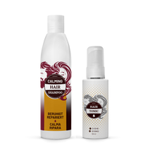 Lade das Bild in den Galerie-Viewer, SET bei Schuppen